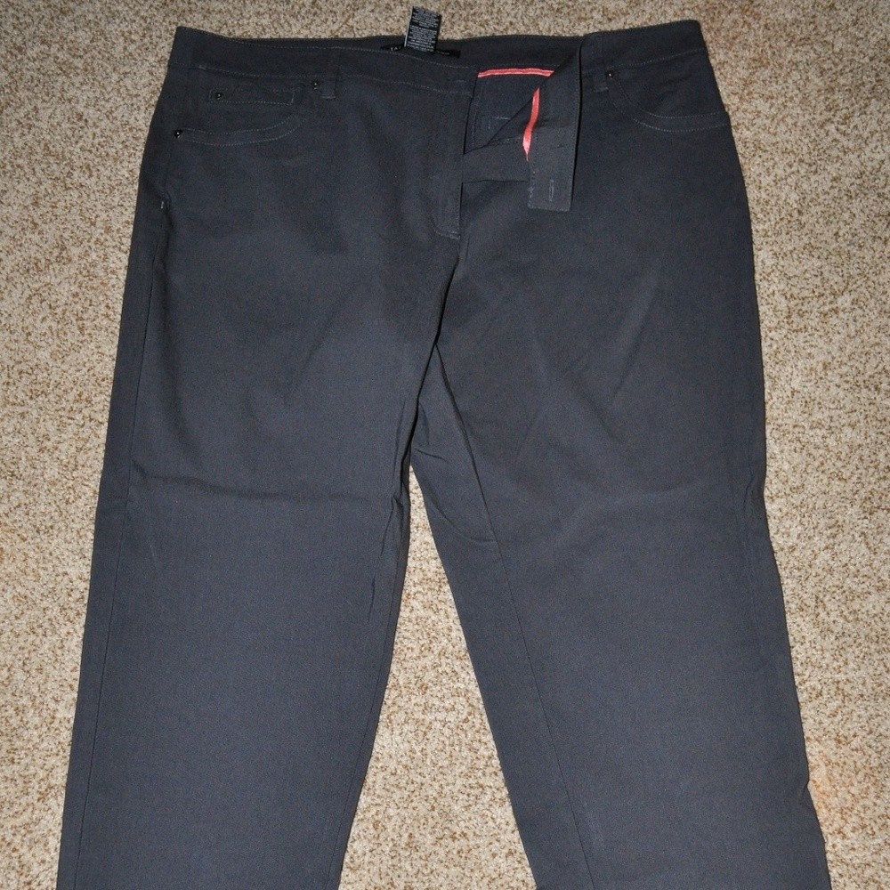 NWOT! Zac & Rachel Slim Straight Leg Pant 22W Grey
